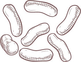 SaccharomycesFermentFiltrate