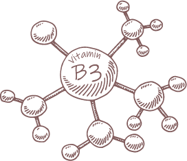 VitaminB3