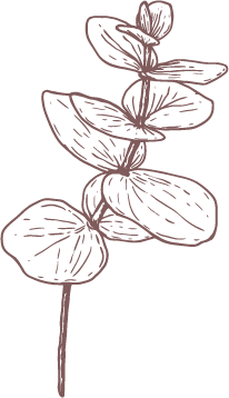 CentellaAsiaticaextract