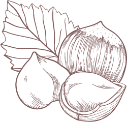 MacadamiaIntegrifoliaSeedOil