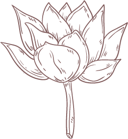 NelumboNuciferaCallus