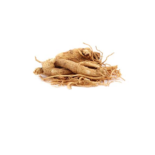 PanaxGinsengRoot