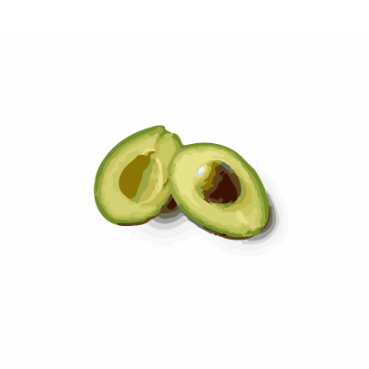 PerseaGratissimaAvocado