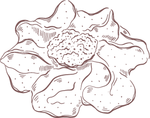 TremellaFuciformisMushroomExtract